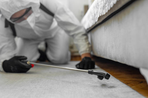 Professional Bed Bug Control technician working in Milford Square, PA