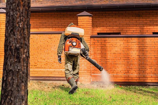 Trusted Termite Control service in Milford Square, PA - Nex Pest Control